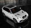 BMWX5Mansory8.jpg