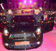 MINI-Cavalli.jpg
