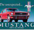 Mustang64-Copiar.jpg
