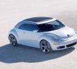beetle-ragster-2005.jpg