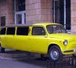 limos_raras_10.jpg