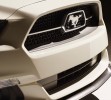 Ford Mustang 50 Year