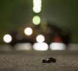 Hot Wheels-Darth Vader-20140724-g-01-galeria