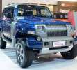 Ford Troller 4×4 Sao Paulo-04-g