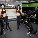 Monster Girls Nov. 2014