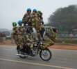 Daredevils Fuerza Seguridad Fronteras India-Q