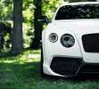Bentley Continental GT-3