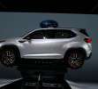 Subaru Viziv