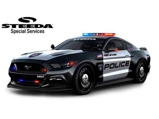 Mustang Police Interceptor