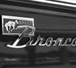 Ford Bronco Logo