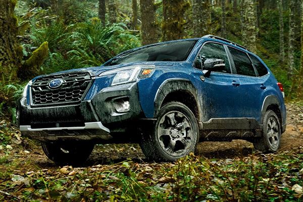 subaru-forester-wilderness-2022.jpg