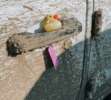 Jeep-Ducking-3