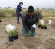 HyundaiOne Tree Planted Bolsa Chica