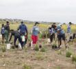 HyundaiOne Tree Planted Bolsa Chica