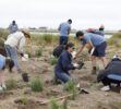 HyundaiOne Tree Planted Bolsa Chica