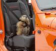 Comercial Groundhog Day de Jeep
