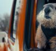 Comercial Groundhog Day de Jeep