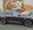 VOLVO XC90 foto del autor (6)