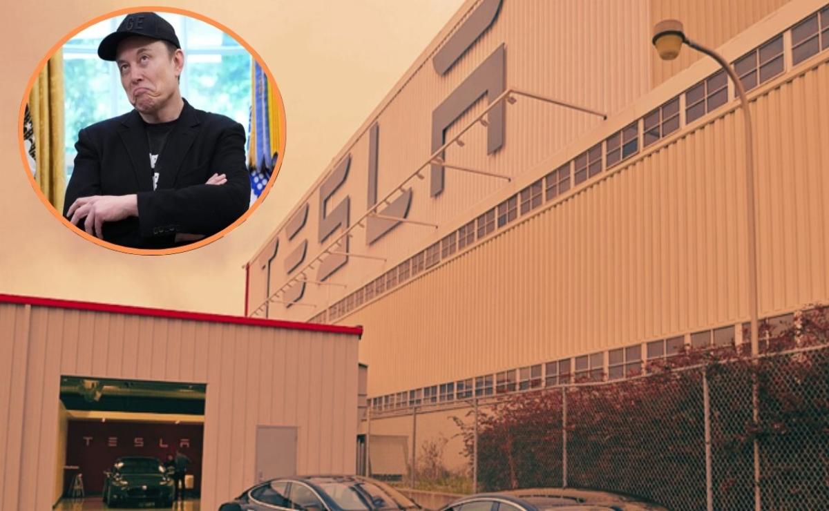 Tesla en la Encrucijada: Musk Lanza su Futuro de IA y Robotaxis Mientras Enfrenta Caídas en Ingresos.