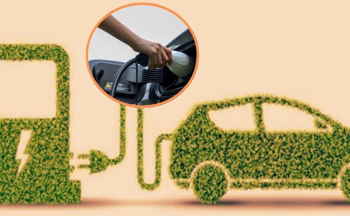 Winline Technology revoluciona la carga de vehículos eléctricos con tecnologías avanzadas: innovación y eficiencia a prueba de todo.