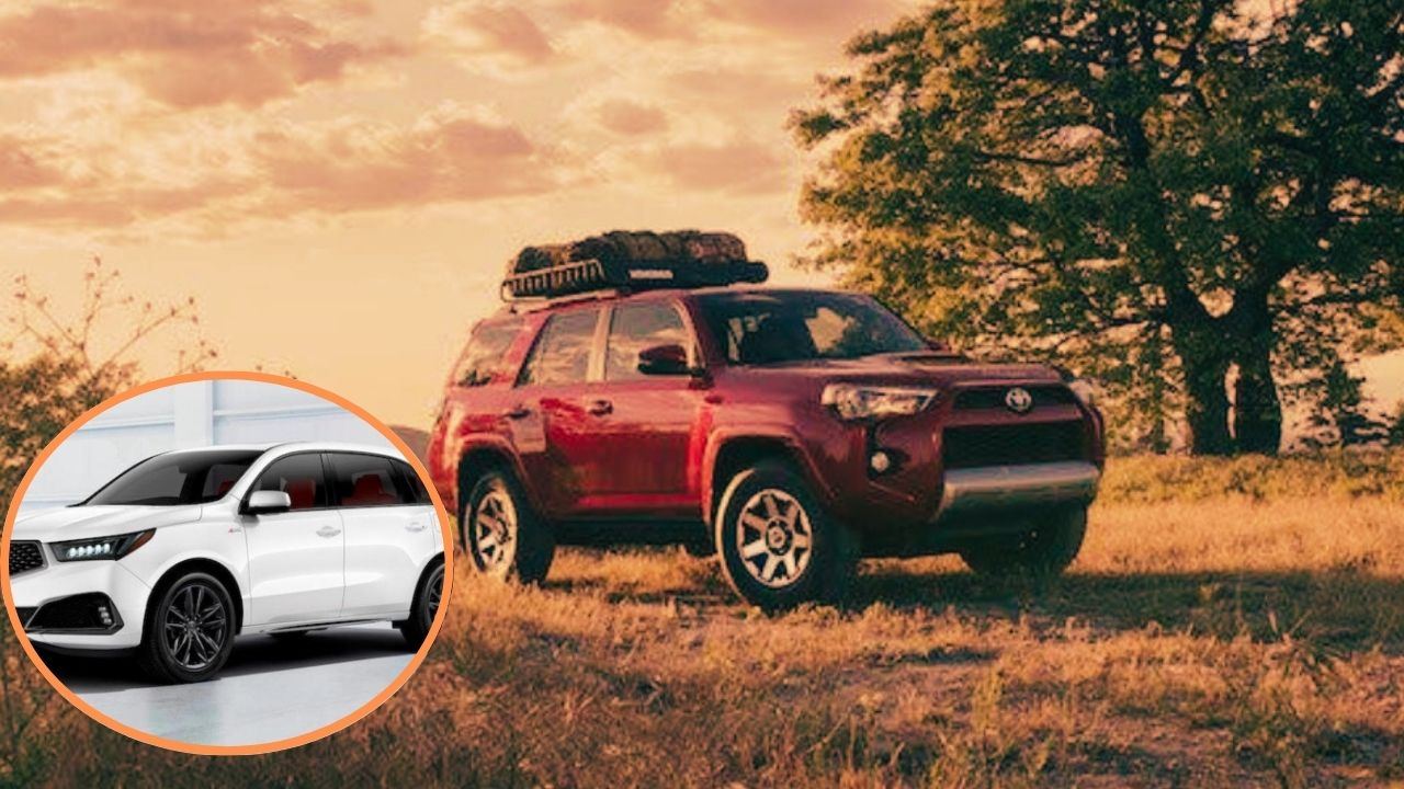 Los 5 coches más fieles: modelos que sus dueños conservan durante 15 años o más.