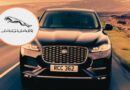 5 Jaguars de gasolina que hicieron historia: pura elegancia británica sobre ruedas.
