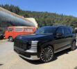 2026 Hyundai Palisades Drive At California – 00001