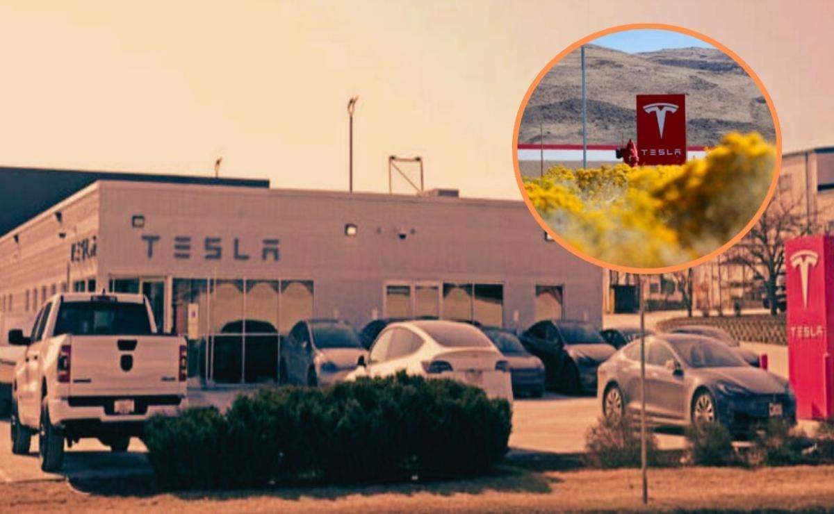 Tesla de Elon Musk en apuros: el Model Y se queda sin inventario y el Cybertruck sube de precio.