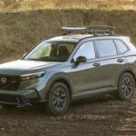 El Honda CR-V 2026 es un SUV compacto que combina perfectamente espacio, eficiencia y tecnología. Con un motor turboalimentado de 190 caballos y un consumo combinado de 29 mpg con tracción total, el CR-V es ideal para aquellos que buscan un SUV versátil para la ciudad y los viajes largos. Su sexto modelo ofrece una cabina espaciosa, con hasta 76.5 pies cúbicos de espacio de carga al abatir los asientos traseros, lo que lo hace ideal para familias y viajes largos.

El Honda Sensing y sus características avanzadas de seguridad, como el control de crucero adaptativo y el asistente de mantenimiento de carril, aseguran que los conductores estén siempre protegidos. Además, la versión híbrida del CR-V se posiciona como una de las mejores opciones en su categoría.