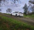25MY_Outback (4)