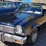 El Chevrolet El Camino de 1971 es una de las mejores opciones para los fanáticos de los coches de músculo que también buscan practicidad. Este clásico combina el estilo de un sedán con la utilidad de una pickup. Su diseño único lo hace aún más especial, lo que atrae tanto a coleccionistas como a conductores que buscan algo diferente.

El precio de un El Camino 1971 comienza alrededor de $20,000 a $30,000, lo que lo convierte en una opción asequible en el mundo de los muscle cars. Aunque puede ser más caro dependiendo del estado y las modificaciones, sigue siendo una excelente inversión para un coche tan icónico.