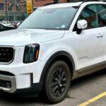 El Kia Telluride ha ganado rápidamente popularidad en el mercado de SUVs, destacándose por sus características de lujo y su precio competitivo. El modelo 2021 ofrece un interior espacioso, tecnología avanzada de seguridad y una conducción suave, convirtiéndolo en una opción ideal para familias.

Los mecánicos están impresionados por la calidad de construcción y la fiabilidad del Telluride. Su fuerte propuesta de valor y características avanzadas lo han convertido en el favorito de los compradores que buscan un SUV de alto rendimiento sin el alto precio de los modelos de lujo.

Destacado: Valor excepcional, espacio amplio y características de lujo a un precio accesible.