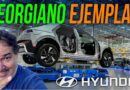 Hyundai metaplanta