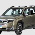 Subaru es una de las marcas más confiables del mercado, especialmente conocida por su sistema de tracción total permanente, que ofrece una estabilidad excepcional en cualquier tipo de carretera. El motor Boxer, que reduce las vibraciones, también contribuye a mantener el vehículo firme y equilibrado. Con modelos que suelen ocupar los primeros lugares en satisfacción y fiabilidad, Subaru ha demostrado ser una de las marcas más duraderas con un nivel de fallos muy bajo. Sus vehículos son perfectos para quienes buscan seguridad y fiabilidad en condiciones extremas de conducción, como en terrenos difíciles o en invierno.