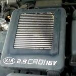 El motor J3 de 2.9 litros CRDi fue utilizado en varios vehículos de Kia y Hyundai durante las primeras décadas de 2000, pero pronto se reveló que presentaba varios problemas graves. El sistema common rail de inyección directa de combustible, combinado con la bomba de alta presión Delphi, a menudo obstruía los inyectores y hacía que el motor se detuviera, especialmente cuando se utilizaba diésel de baja calidad. Los costos elevados de reemplazar los inyectores y los sistemas de suministro de combustible fueron una pesadilla para los propietarios, que también tuvieron que lidiar con problemas eléctricos y fugas de refrigerante. En términos de fiabilidad, este motor tenía una vida útil de aproximadamente 400.000 km, aunque muchos vehículos enfrentaron estos problemas mucho antes.