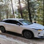 Lexus, la división de lujo de Toyota, ha logrado combinar la opulencia en sus diseños con una mecánica robusta. Los autos Lexus son conocidos por su construcción sólida y durabilidad, lo que les ha ganado una excelente reputación en la industria automotriz. Ofrecen lujo sin sacrificar la tranquilidad mental que da saber que el vehículo es fiable y duradero. Si buscas lujo, comodidad y la fiabilidad de Toyota, Lexus es la elección perfecta para ti.