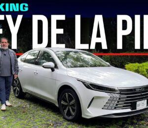 BYD King