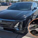 5 autos aprobados por mecánicos que vale la pena comprar.