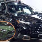 5 coches del 2025 que envejecen como un buen vino.