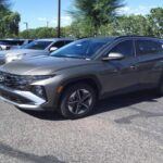 Uno de los mayores inconvenientes de los vehículos híbridos es el costo inicial elevado. La tecnología avanzada y el sistema de doble motor incrementan el precio, lo que puede ser un desafío para aquellos con un presupuesto ajustado. Aunque modelos como el Toyota Prius ofrecen un ahorro significativo de combustible, el tiempo necesario para amortizar la diferencia de precio entre un híbrido y un coche convencional puede extenderse a muchos años de conducción diaria. Este desafío es aún mayor si consideramos las tasas de interés y los costos de financiamiento.