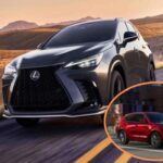 5 SUV que parecen más caros de lo que son.