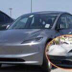 5 vehículos eléctricos que destacan por su fiabilidad en 2025.