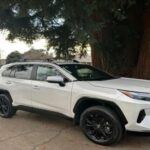 Cuando se trata de opciones de color, Toyota tiende a ser bastante conservador. Los tonos más comunes incluyen blancos, grises y plateados, colores que, aunque elegantes y prácticos, no destacan por su personalidad. Si buscas un coche con una pintura audaz y llamativa, los modelos de Toyota podrían decepcionarte.