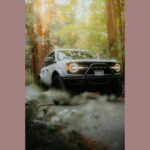 El Ford Bronco vuelve con fuerza después de 25 años, destacándose como el SUV todoterreno definitivo. Disponible en múltiples versiones, el Bronco está diseñado para los más aventureros. Desde el modelo base, que cubre la mayoría de las necesidades off-road, hasta el Bronco Raptor, con un motor V6 turboalimentado de 418 caballos de fuerza, su versatilidad es insuperable. Con modos G.O.A.T. para diversos terrenos y confort para el uso diario, el Bronco parte desde $34,890, equilibrando capacidad todoterreno con la comodidad de un SUV diario.