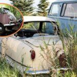 Los 5 coches europeos más interesantes que hemos visto en los desguaces estadounidenses.