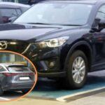 Los 5 mejores SUV para cada conductor.