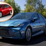 Los 5 híbridos más duraderos de 2025: apuesta por la fiabilidad y la eficiencia.