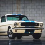 Tras la Segunda Guerra Mundial, Shelby intentó ganarse la vida criando pollos en Texas. El negocio fracasó en 1952 y lo dejó prácticamente en la ruina. Ese golpe fue el detonante que lo empujó definitivamente hacia el automovilismo, demostrando que su carrera nació del fracaso, no del privilegio.