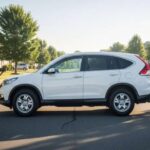 Rueda por autopistas cargando cosas y rutinas. Poseerlo es aceptar una normalidad eficiente. El nuevo emblema apenas levanta la cabeza entre tantos iguales en los estacionamientos. Sus dueños lo conservan durante años, pensando de vez en cuando en cambiarlo. Sigue presente. Todos los días.