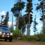 SUV compacto introducido en 1997, derivado del Impreza. Confiable, seguro y práctico, su diseño ha evolucionado sin perder la esencia de durabilidad. Modelos recientes puntúan 8,6/10 en fiabilidad y 9/10 en seguridad.